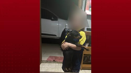 Imagem de destaque