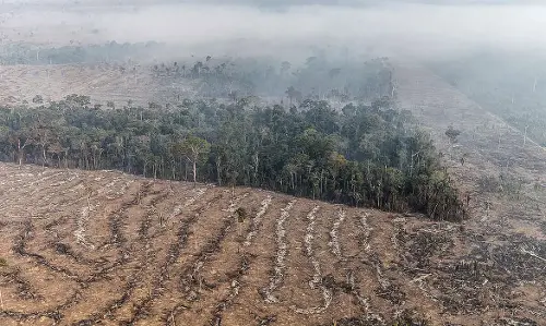 Imagem de destaque