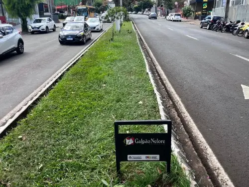 Imagem de destaque