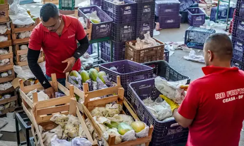 Imagem de destaque