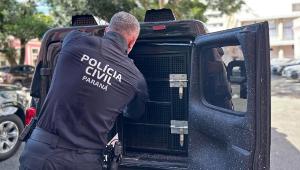 Imagem de destaque