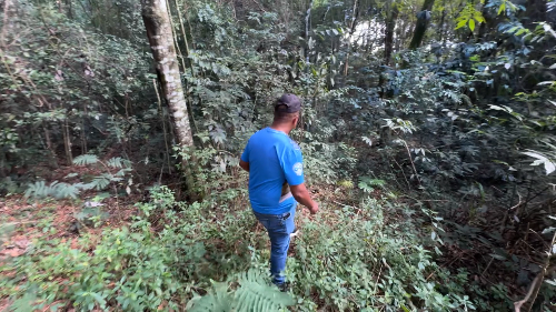 Imagem de destaque