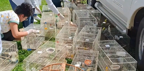 Imagem de destaque