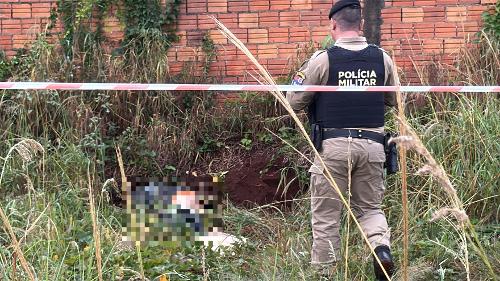 Imagem de destaque