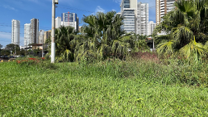 Imagem de destaque