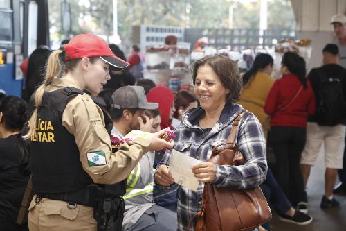 Imagem de destaque