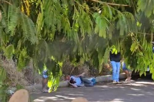 Imagem de destaque