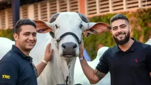 Imagem de destaque