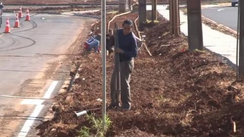 Imagem de destaque