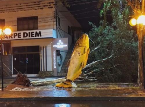 Imagem de destaque