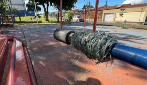Imagem de destaque