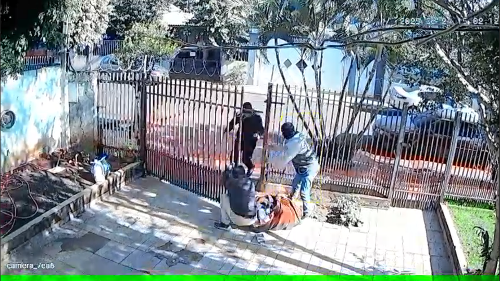 Imagem de destaque