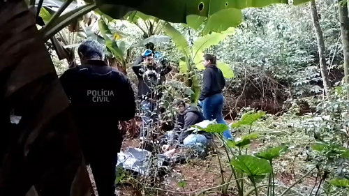 Imagem de destaque
