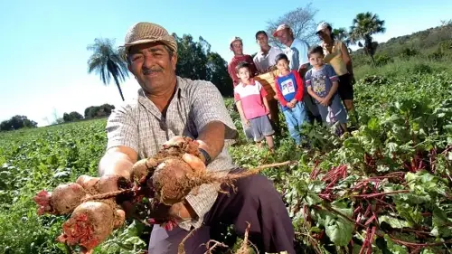 Imagem de destaque