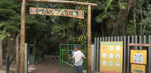 Imagem de destaque