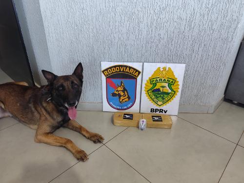 Imagem de destaque