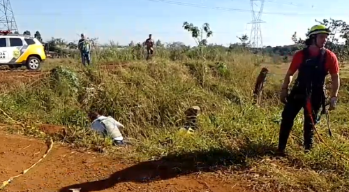 Imagem de destaque