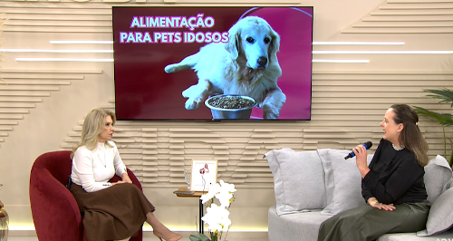 Imagem de destaque