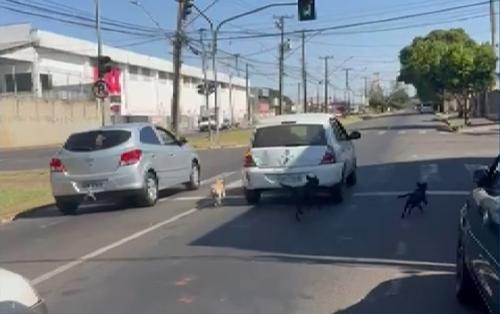 Imagem de destaque