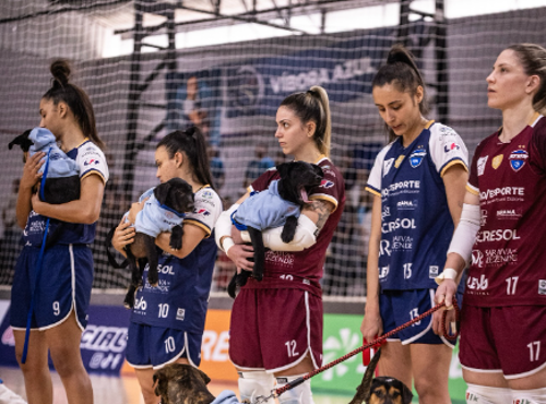 Imagem de destaque