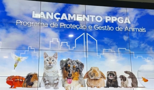 Imagem de destaque