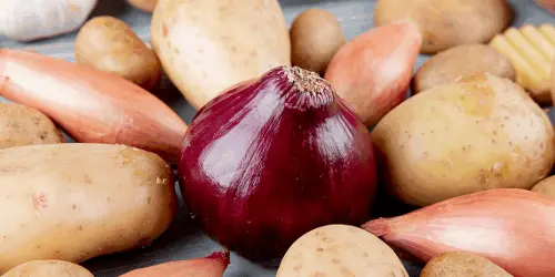 Imagem de destaque