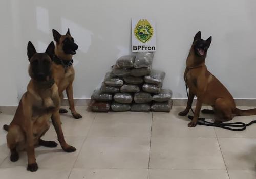 Imagem de destaque