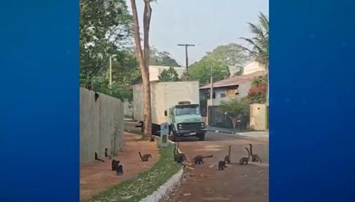 Imagem de destaque