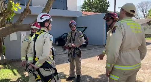 Imagem de destaque
