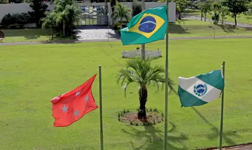 Imagem de destaque