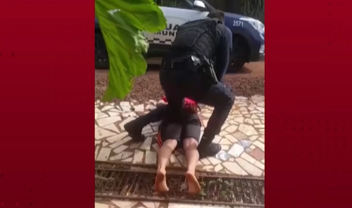 Imagem de destaque