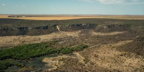 Imagem de destaque