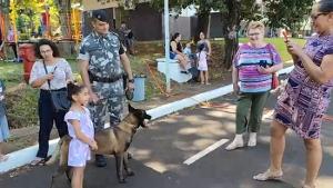 Imagem de destaque