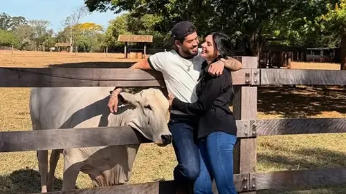 Imagem de destaque