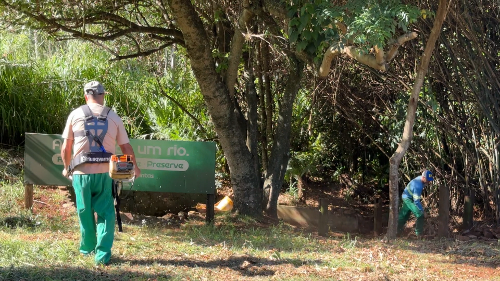 Imagem de destaque