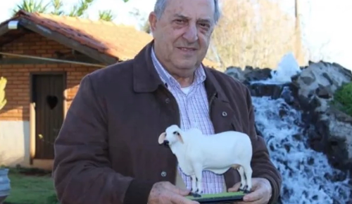 Imagem de destaque