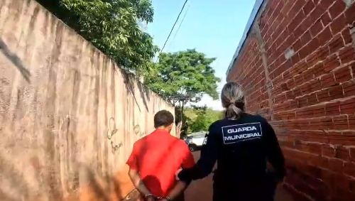 Imagem de destaque