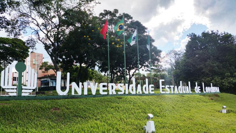 Imagem de destaque