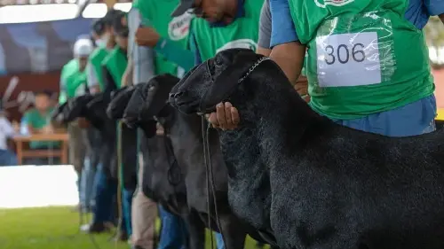 Imagem de destaque