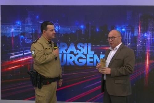 Imagem de destaque