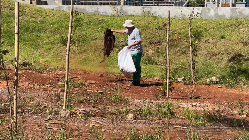 Imagem de destaque