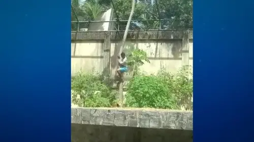 Imagem de destaque