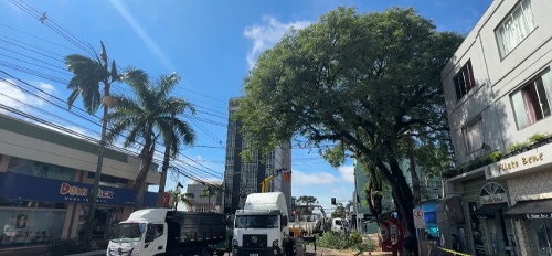 Imagem de destaque