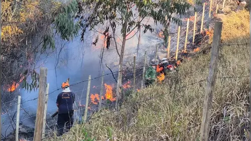 Imagem de destaque