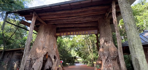 Imagem de destaque