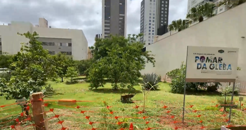 Imagem de destaque