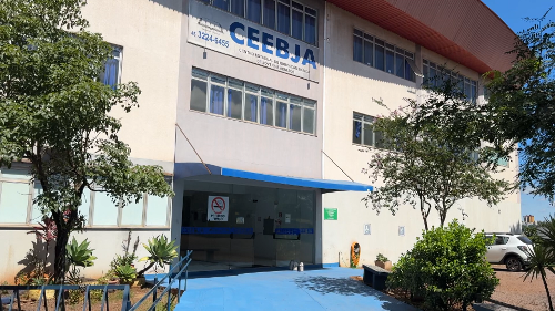 Imagem de destaque