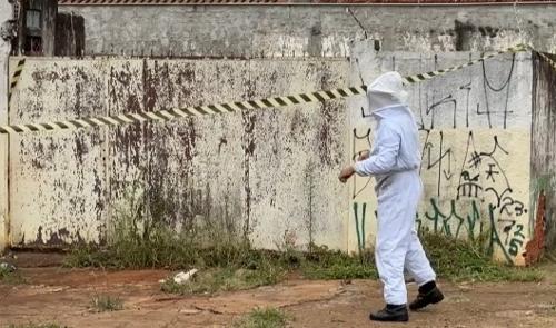 Imagem de destaque