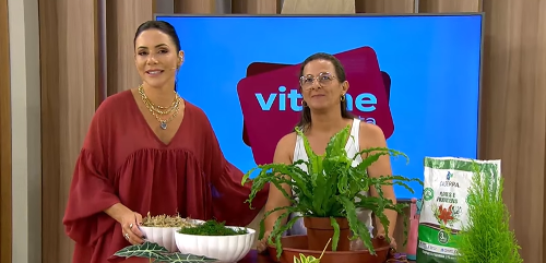Imagem de destaque