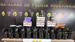 Imagem de destaque